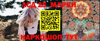 МДПВ Кингисепп