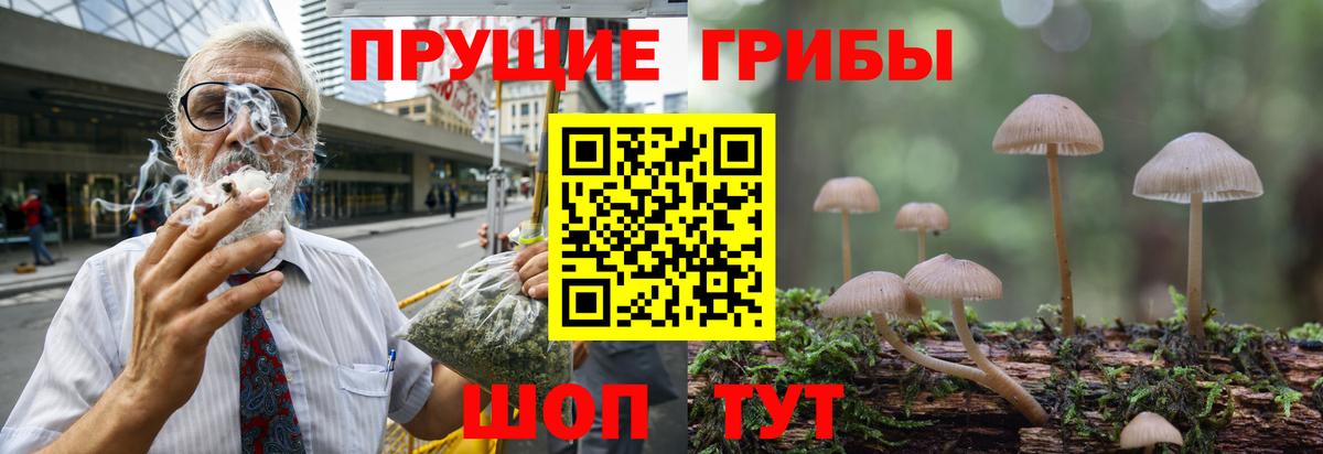 Вологда  Галлюциногенные грибы MAGIC MUSHROOMS  Вход с VPN 